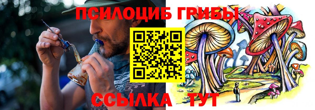 наркошоп  Галлюциногенные грибы MAGIC MUSHROOMS  Вход с VPN  Мирный 